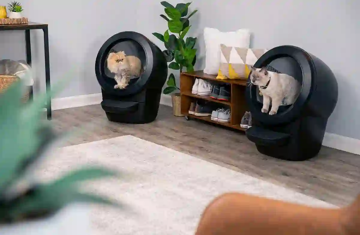 Litter Robot 3 vs 4: Choosing the Perfect Automated Cat Litter Solution